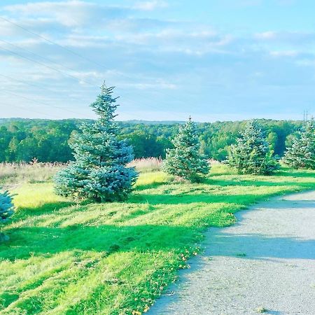 Large Estate 3 Bedroom Luxury Villa King City Екстер'єр фото